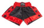 Σορτς Kick Boxing L