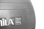 Μπάλα Γυμναστικής AMILA GYMBALL 75cm Γκρι Bulk - Image 2