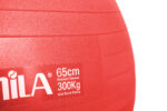 Μπάλα γυμναστικής AMILA GYMBALL 75cm Κόκκινη - Image 2