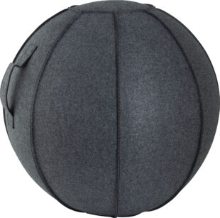 Κάλυμμα για Μπάλα Γυμναστικής AMILA GYMBALL 75cm