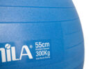 Μπάλα Γυμναστικής AMILA GYMBALL 55cm Μπλε Bulk - Image 2