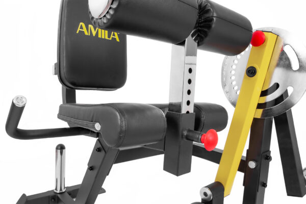 Μηχάνημα Leg Curl / Leg Extension AMILA AX1030 - Image 3