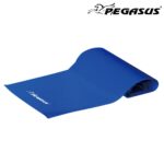 Λάστιχο Ενδυνάμωσης Κορδέλα (Μπλε/Heavy) Pegasus® (Β-6308-H)