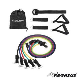 Σετ Λάστιχα Ενδυνάμωσης με Λαβές (5 τεμ) Pegasus® (B-6333)