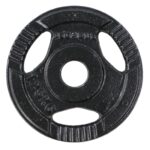 Δίσκος Σφυρήλατος με Χειρολαβή Φ.29 (1,25kg) Pegasus® (B-0106-125)
