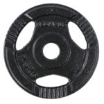 Δίσκος Σφυρήλατος με Χειρολαβή Φ.29 (2,5kg) Pegasus® (B-0106-25)