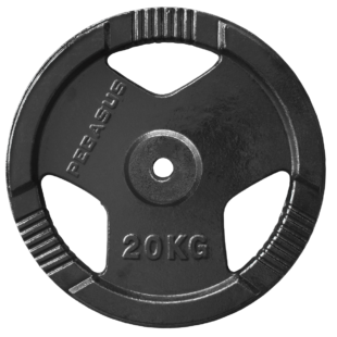 Δίσκος Σφυρήλατος με Χειρολαβή Φ.29 (20kg) Pegasus® (B-0106-20)