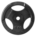 Δίσκος Σφυρήλατος με Χειρολαβή Φ.29 (5kg) Pegasus® (B-0106-5)