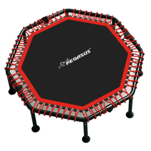 Οκτάγωνο Τραμπολίνο (48"/122cm) Pegasus® (B-4503)