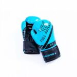 Γάντια Πυγμαχίας (10oz) LivePro (B-8600-10)