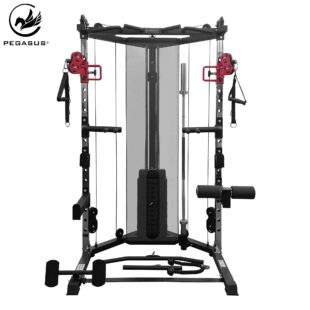 Πολυόργανο Functional Trainer (FT-100) Pegasus® (392211312)