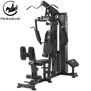 Πολυόργανο Γυμναστικής με Βάρη (73kg) Pegasus® (MS-130)