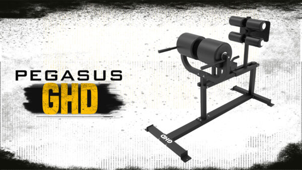 Πάγκος Ραχιαίων (GHD) Pegasus® (Λ-649) - Image 2