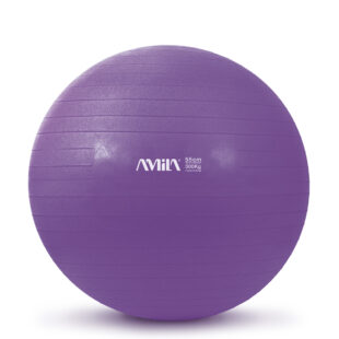 Μπάλα Γυμναστικής Gym Ball (Bulk) 55cm (Μωβ) Amila (48409)