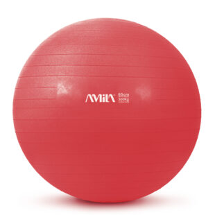 Μπάλα Γυμναστικής Gymball 65cm (Κόκκινη) Amila (95846)