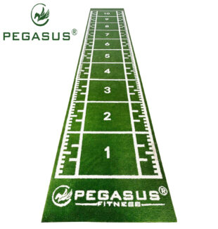 Συνθετικός Χλοοτάπητας (Πράσινος) 2x11m Pegasus® (3159)