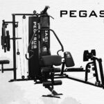 Pegasus Pro Gym 3 θέσεων MT-18504-ABC - Pegasus®
