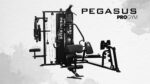 Pegasus Pro Gym 3 θέσεων MT-18504-ABC - Pegasus®