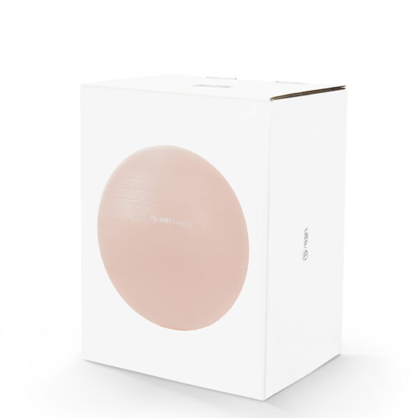 Μπάλα Γυμναστικής (Estetica) Gym Ball (65cm) Amila (99702) - Image 4