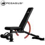 Pegasus Πάγκος Ρυθμιζόμενος PG-2101 - Pegasus®
