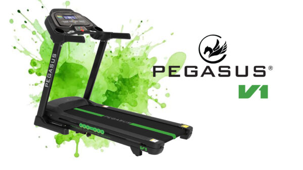 Pegasus Ηλεκτρικός Διάδρομος V1 2.5ΗΡ/DC - Pegasus® - Image 2